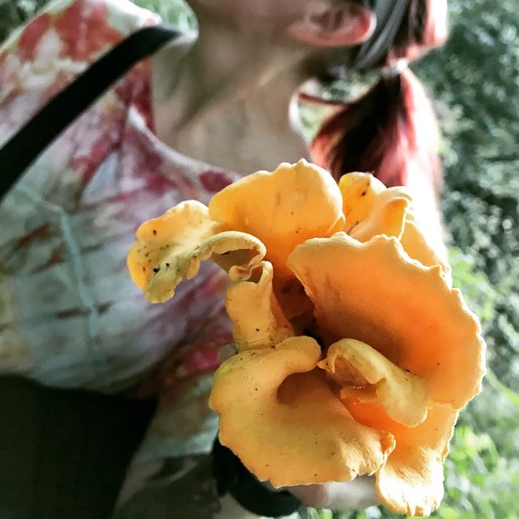 Meet your Posher, Leigh - Picture 4 of 6